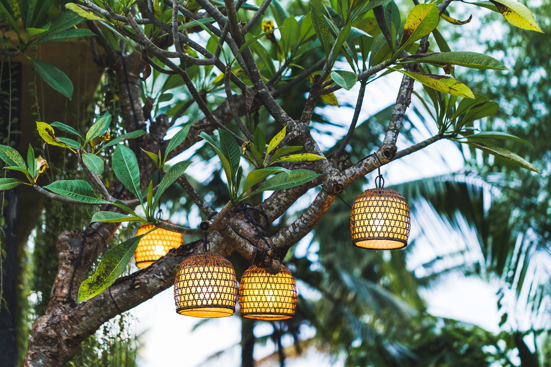 Professional Outdoor Lighting