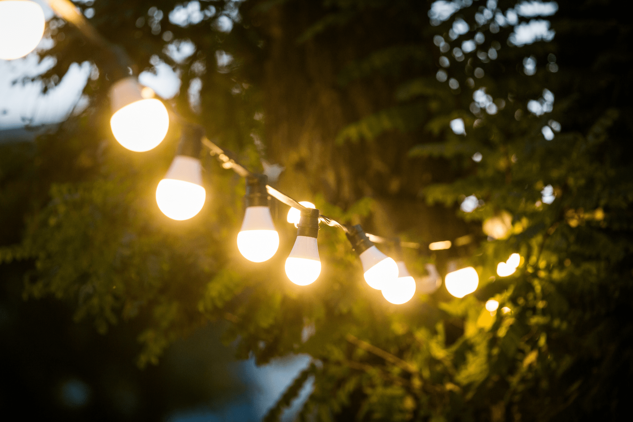 Garden lighting & garden lights