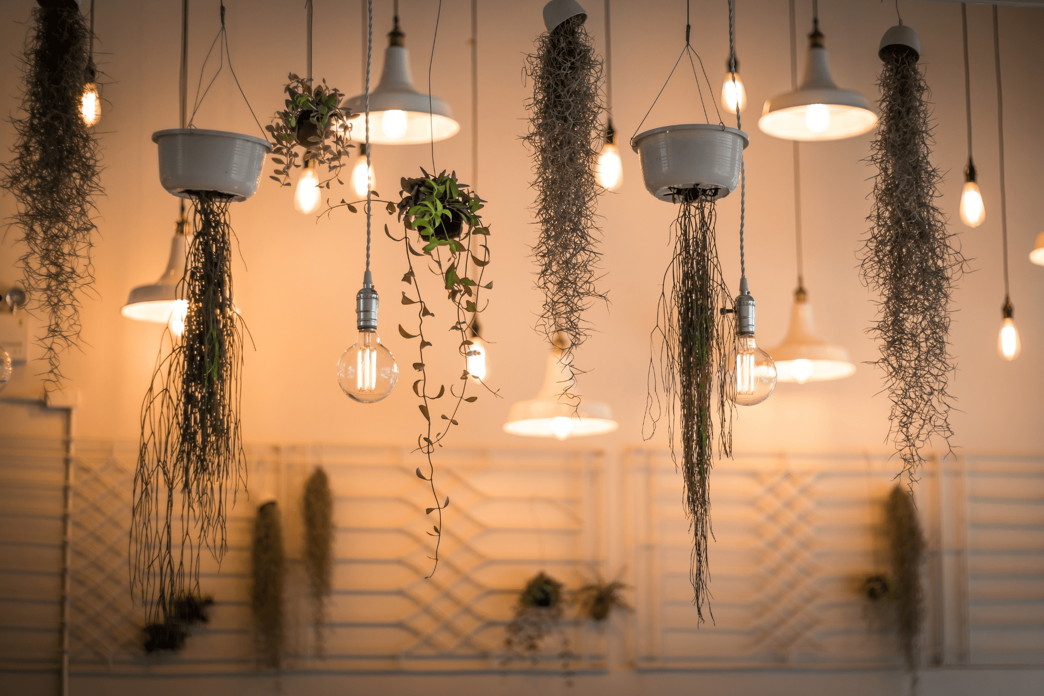 Lighting products
